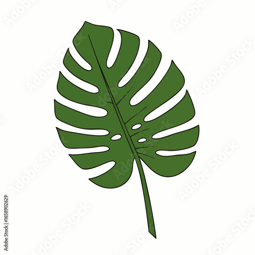 A vibrant green Monstera deliciosa leaf, digitally illustrated with its iconic fenestrations, stands out as a tropical botanical element on a clean white background.