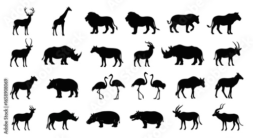 Collection of animal silhouettes isolated on white background