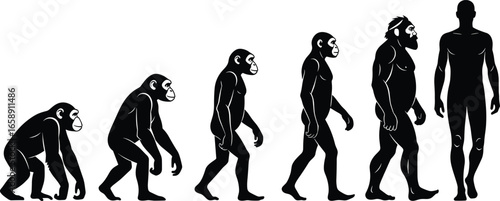 Vector illustration of human evolution from ape to modern man, concept of development, anthropology, science, biology, education, and prehistoric transformation.