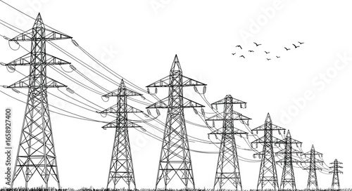 High voltage power lines, electricity towers, birds flying, energy grid, infrastructure, landscape