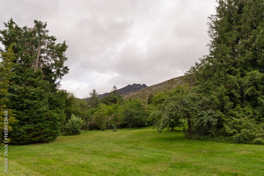Naklejka premium A large mountain is in the background of a lush green field
