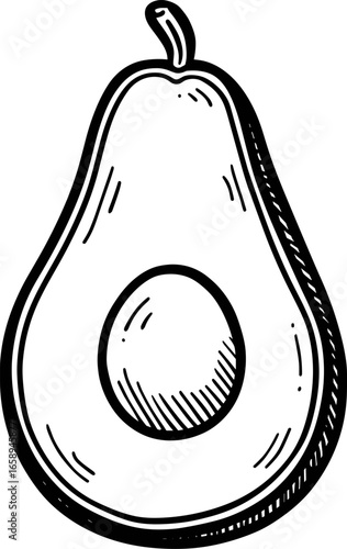 Avocado showing a halved fruit with a seed in bright, simple lines isolated on transparent background. Vector illustration.
