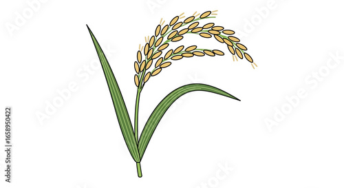Isolated rice plant illustration showcasing agriculture symbol for grain production with golden kernels and green leaves on a clean white backdrop
