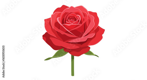 Exquisite digital rendering of a vibrant red rose showcasing intricate petal layering and verdant stem on a crisp white canvas