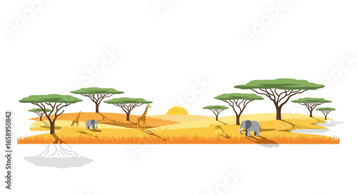 African savanna ecosystem with wildlife: Elephants and giraffes under acacia trees at sunset flat design scene showcasing African wildlife in a