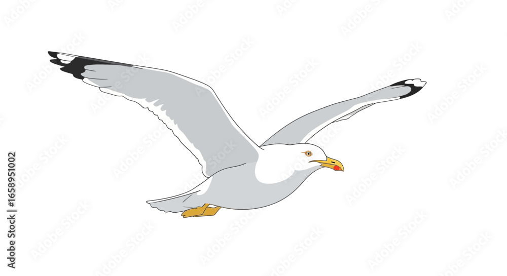 Fototapeta premium Elegant seagull soars effortlessly across a canvas of pure white, evoking freedom and the wild allure of the endless marine horizon