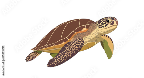 Detailed illustration depicting a graceful sea turtle against a pristine white backdrop showcasing marine life conservation efforts for future