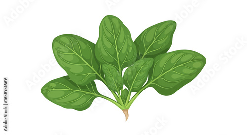 Artistic rendering of fresh spinach leaves displaying vivid green tones and detailed venation, evoking images of health and vitality with artistic