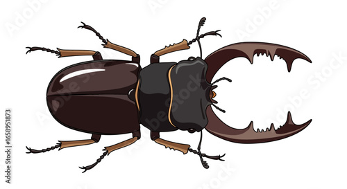 Detailed Cartoon Representation of a Stag Beetle with Prominent Mandibles and Exaggerated Features for Educational Purposes