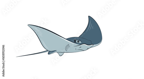 A stylized cartoon illustration depicts a stingray gliding through the ocean waters with graceful movements and gentle elegance radiating from its