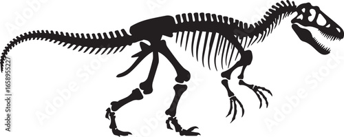 complete dinosaur skeleton vector illustration ai eps jpeg png prehistoric theropod anatomy and paleontology design