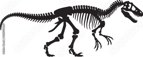 Fototapeta complete dinosaur skeleton vector illustration ai eps jpeg png prehistoric theropod anatomy and paleontology design