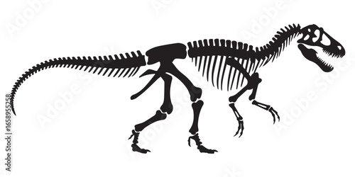 vector dinosaur fossil skeleton diagram ai eps jpeg png detailed prehistoric bone structure for museum exhibit
