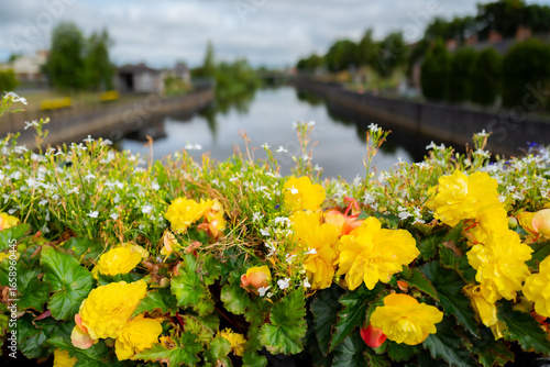yellow flowers on a bridge in the old town of Kilkenny, Ireland