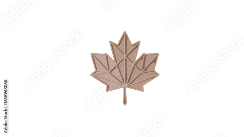 An elegant abstract illustration of a maple leaf.