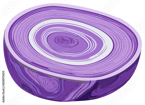 Sectional View of Purple Spherical Object with Concentric Rings and Distinct Layers Depicted in Artistic Style