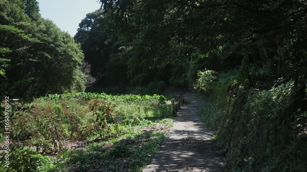 熊野古道・紀伊路「熊野古道公園から沓掛王子へ」和歌山県日高町 Stone Path from Kumano Kodo Park to Kutsukake Ōji – Kii Route, Hidaka Town, Wakayama 熊野古道・紀伊路「熊野古道公園から沓掛王子へ」和歌山県日高町 Stone Path from Kumano Kodo Park to Kutsukake Ōji – Kii Route, Hidaka Town, Wakayama