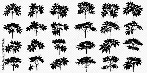 A collection of black silhouette illustrations of tropical umbrella trees, showing various shapes and forms on a transparent background.