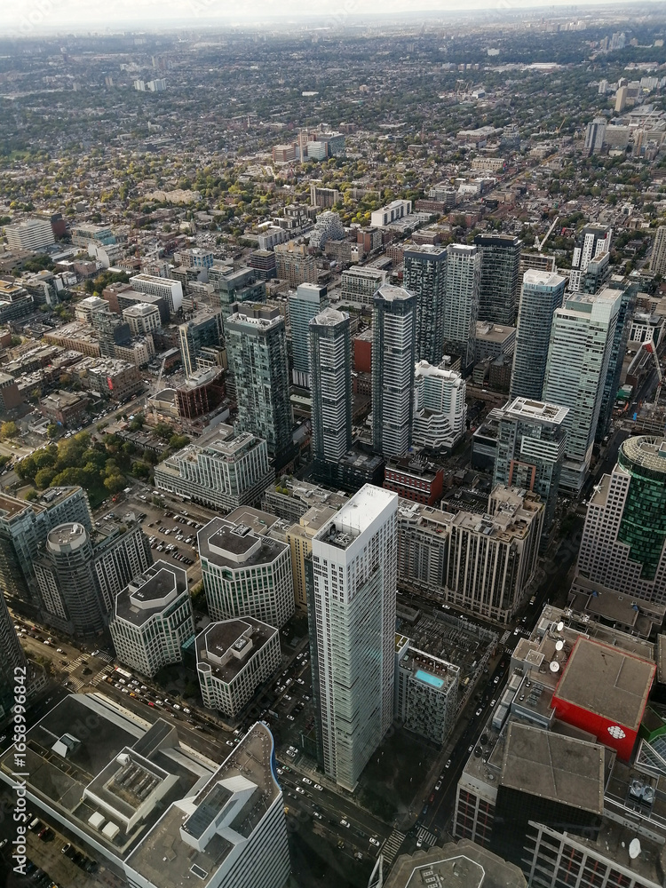 Fototapeta premium Toronto City Skyline from Above