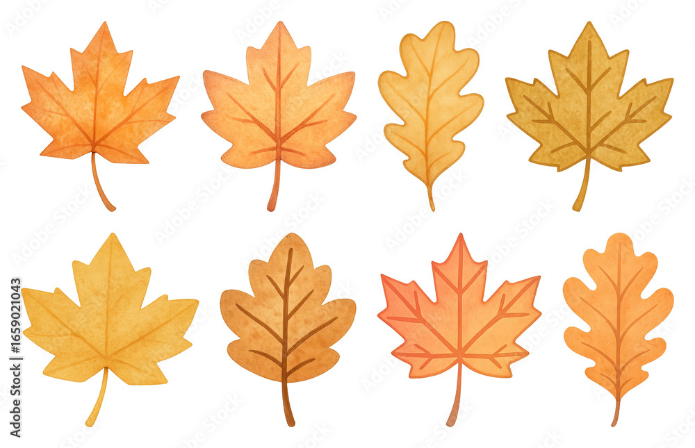 Fototapeta premium PNG Colorful autumn leaves illustration, element set on transparent background