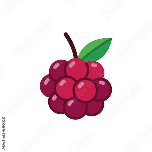 Vibrant raspberry vector icon, fresh berry fruit illustration isolated on a white background. Symbol of healthy eating, sweet desserts, and organic food concept.