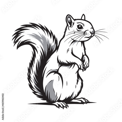 black and white silhouette of a squirrel on a white background