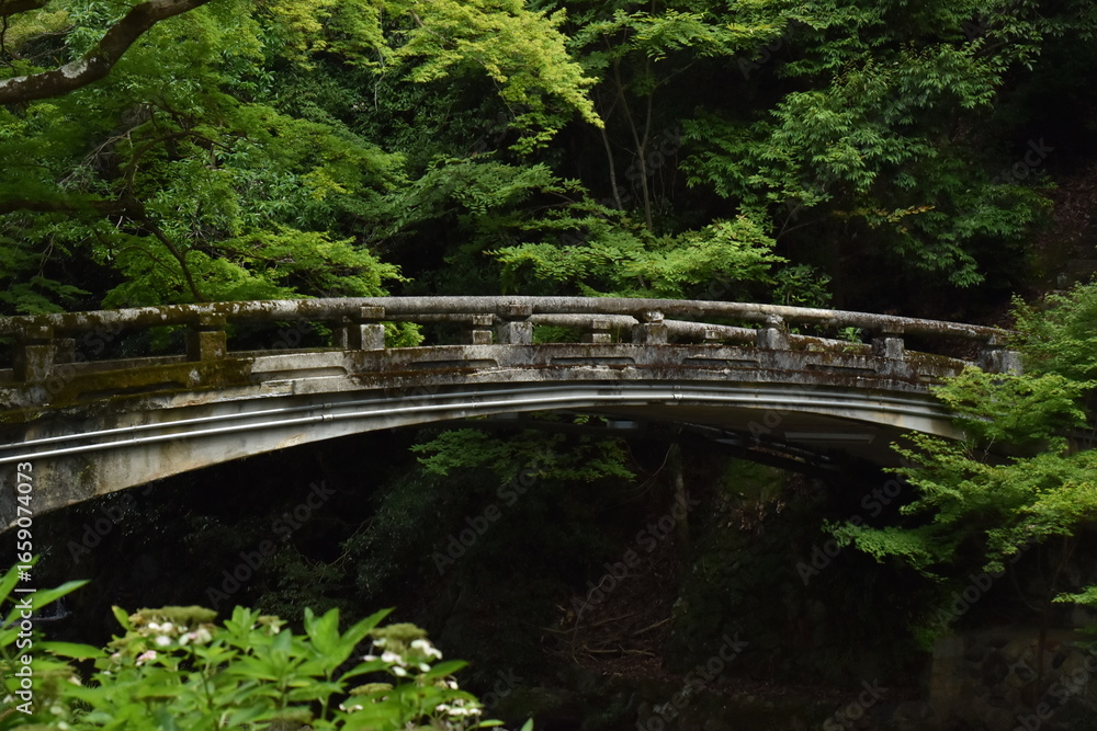 Fototapeta premium 木造の橋