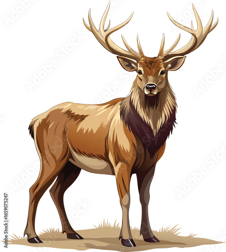Vector illustration of a red deer stag with prominent antlers, showcasing its majestic profile against a simple background.