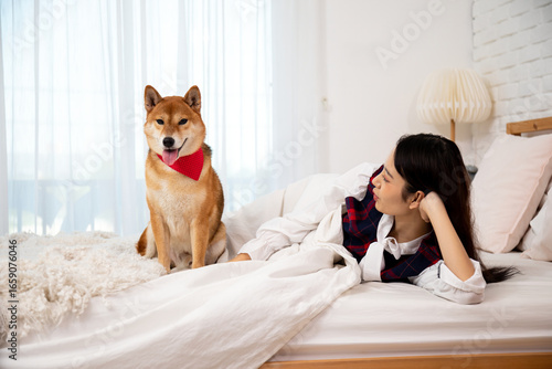 Fototapeta Young woman lying on a bed and looking at her Shiba Inu dog wearing a red bandan