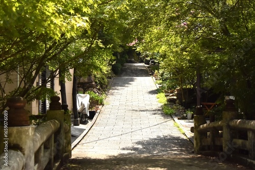 どこかへ続く坂道