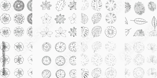 Assortment of sketched floral and leaf motifs in grayscale tones flower leaves