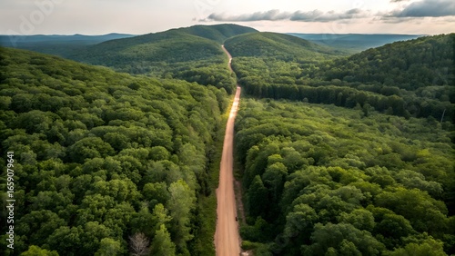 Aerial View of Dirt Road Through Dense Green Forest Landscape
