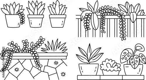Collection of potted houseplants in outline style potted plant
