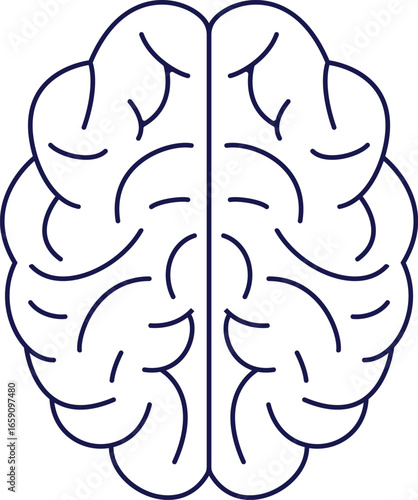 Human Brain Outline Conceptual Illustration