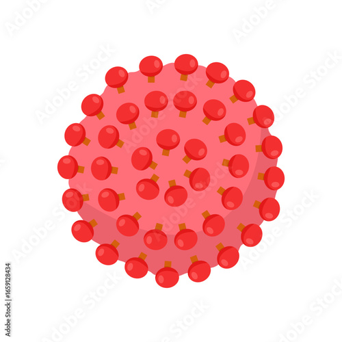 Illustration Of Hepatitis B Cell