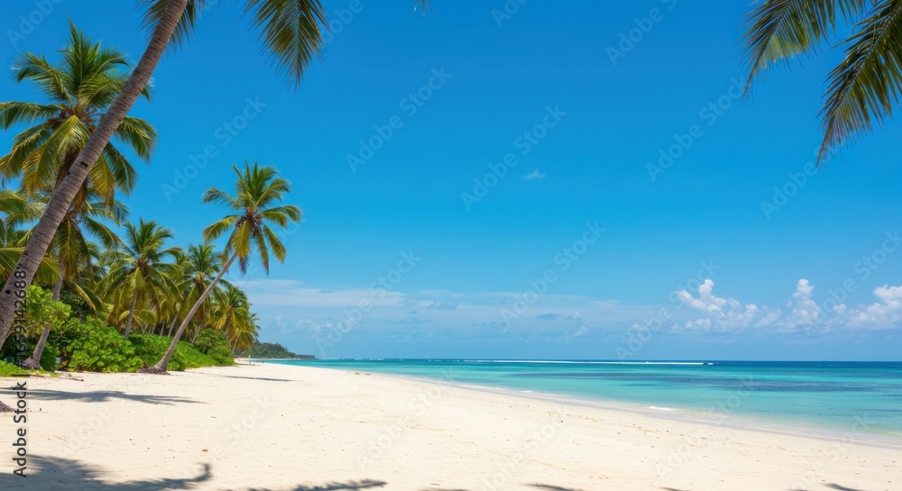 Obraz premium Tropical beach white sand, turquoise water, and palm trees reaching for the clear blue sky on a sunny day