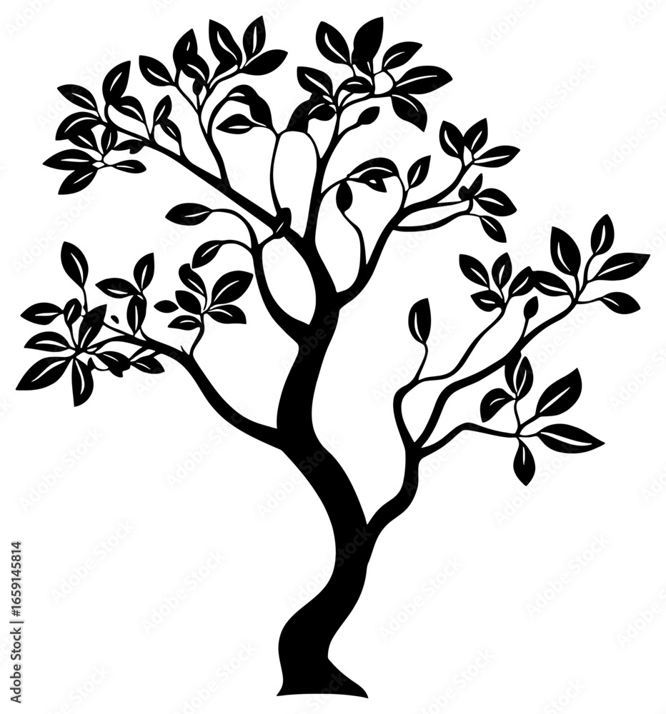 Fototapeta premium Fangipani tree silhuoette drawing
