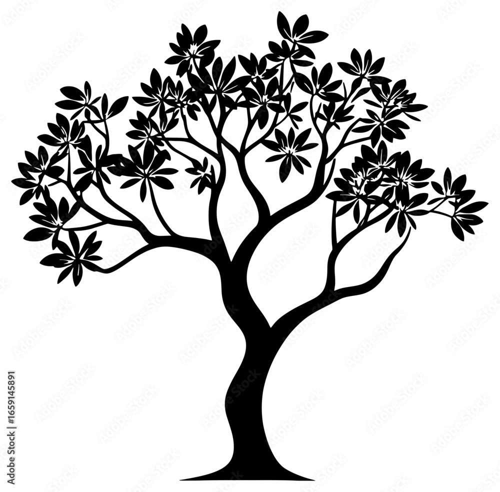 Fototapeta premium Fangipani tree silhuoette drawing