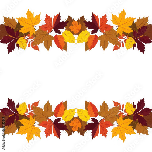 Autumn Maple Leaf Borders isolated on a transparent background fall leaves