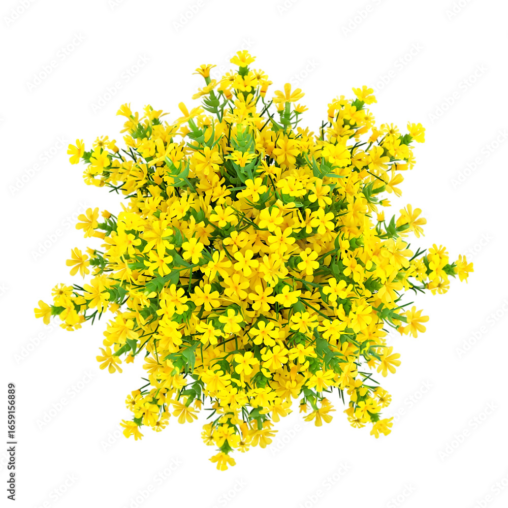 Obraz premium Vibrant Yellow Flower Arrangement: Aerial View of a Lush, Blooming Creeper Plant with Small, Sunny Yellow Flowers.