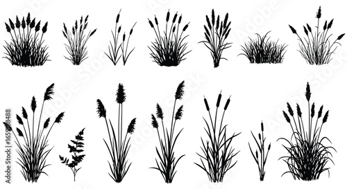 a collection of various cattail and grass silhouettes on a white background