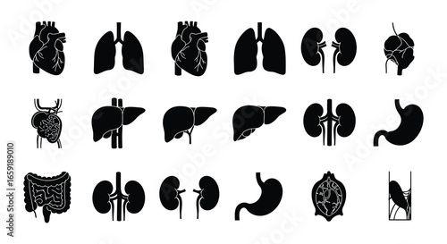 Collection of human organ silhouettes for medical and health concepts