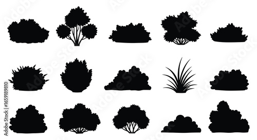 Collection of various black silhouettes of bushes and plants on white background