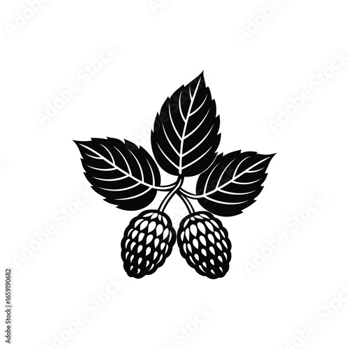 Monochrome depiction of hop plant with leaves and two cones in vector