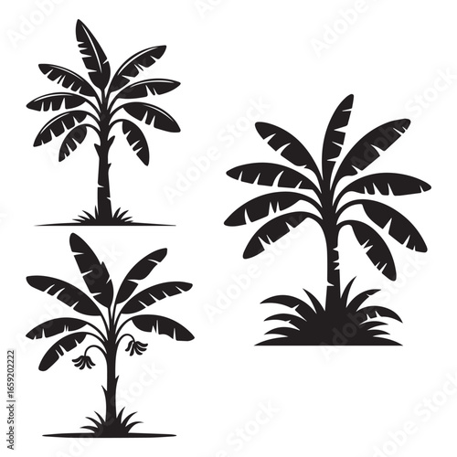 palm tree silhouettes