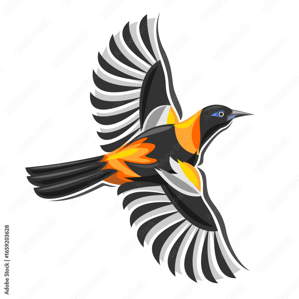 Fototapeta premium Venezuelan troupial bird