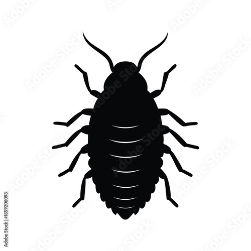 Silhouette of a Bed Bug, a Nocturnal Parasitic Insect, Vector Illustration, Bed bug insect silhouette vector illustration