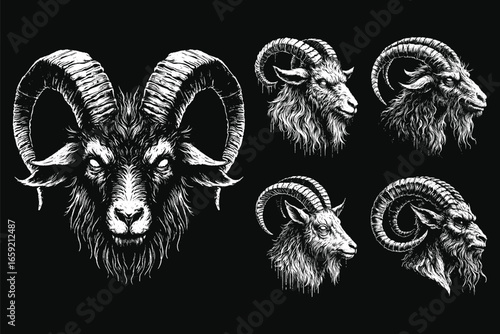 Set Bundle Hand Drawn Gold Fish Aquatic Black White Vintage Dark Art for Tattoo and Clothing illustration