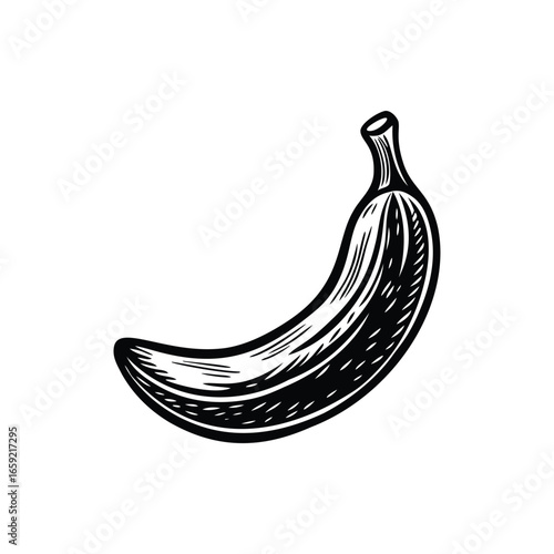 Monochrome Banana Illustration Emphasizing the Curves and Textural Details of the Fruit