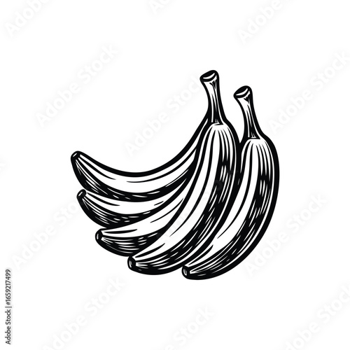 Black and White Illustration of a Bunch of Bananas, Ready to Eat silhouette